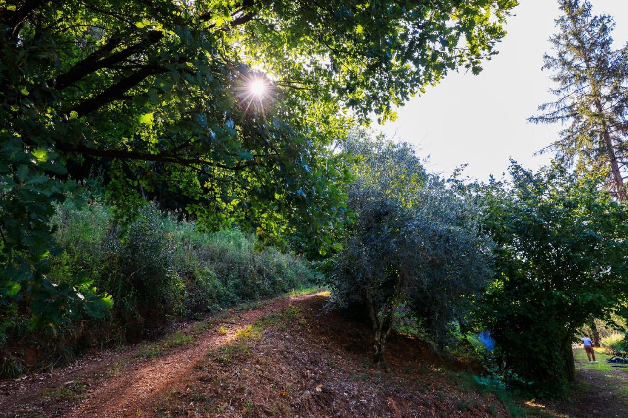 Agriturismo Terra Volonteri Montecatini-Terme Zewnętrze zdjęcie