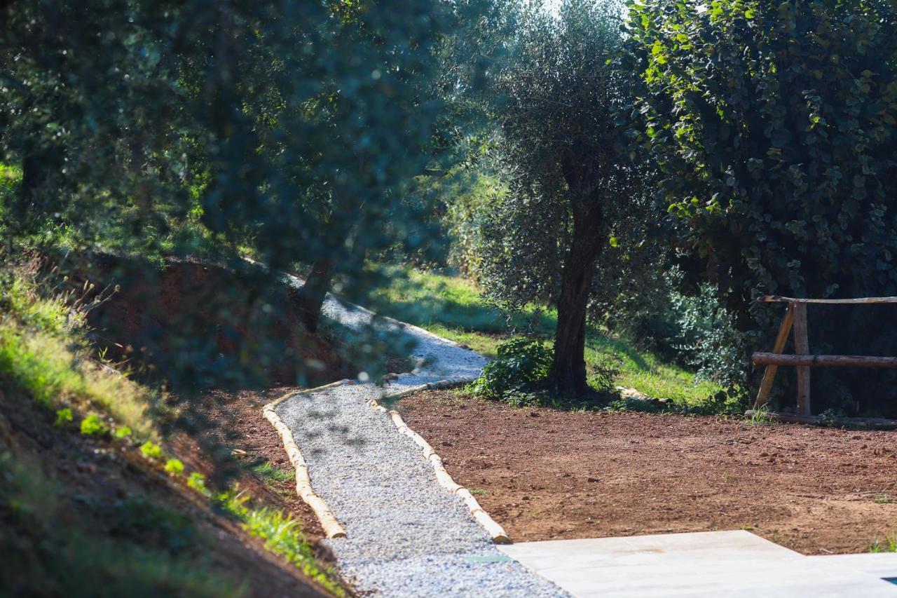Agriturismo Terra Volonteri Montecatini-Terme Zewnętrze zdjęcie