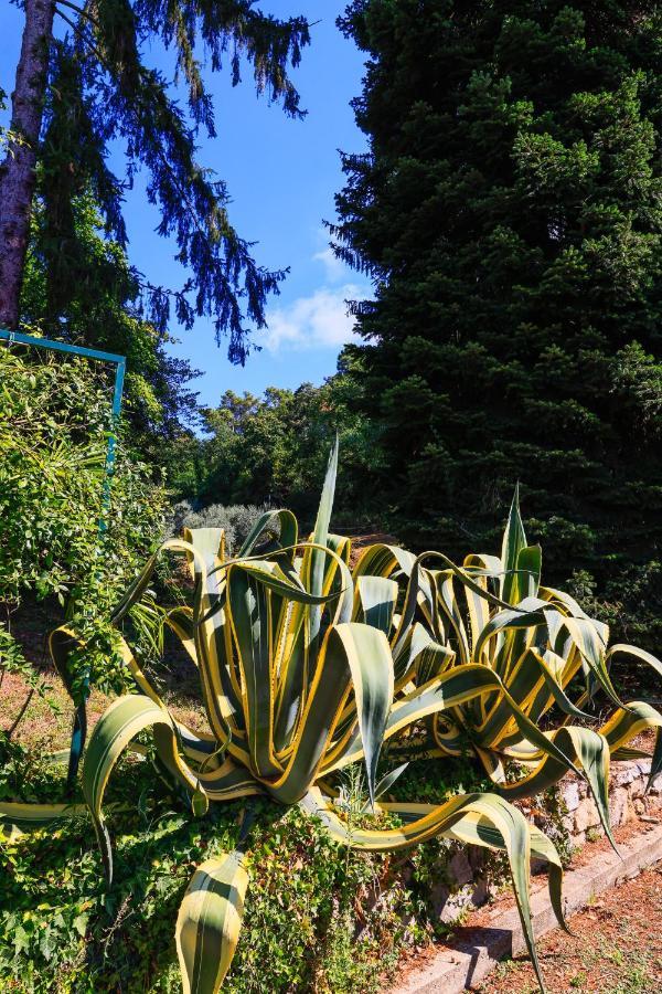 Agriturismo Terra Volonteri Montecatini-Terme Zewnętrze zdjęcie