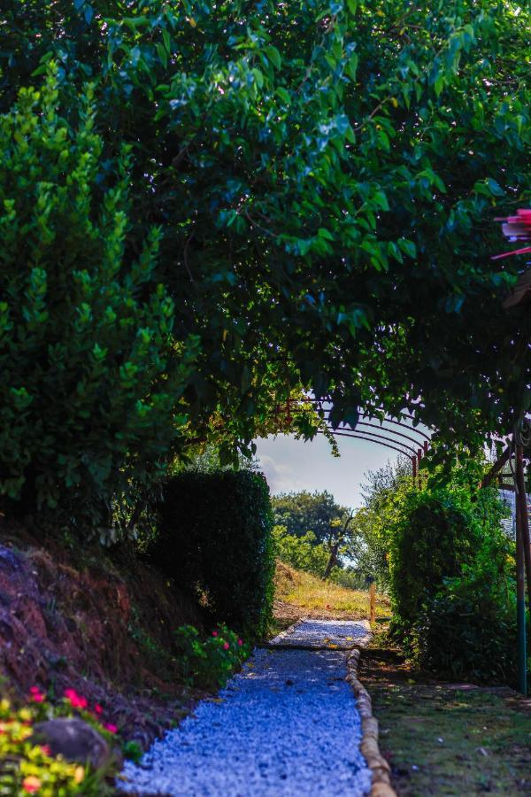 Agriturismo Terra Volonteri Montecatini-Terme Zewnętrze zdjęcie
