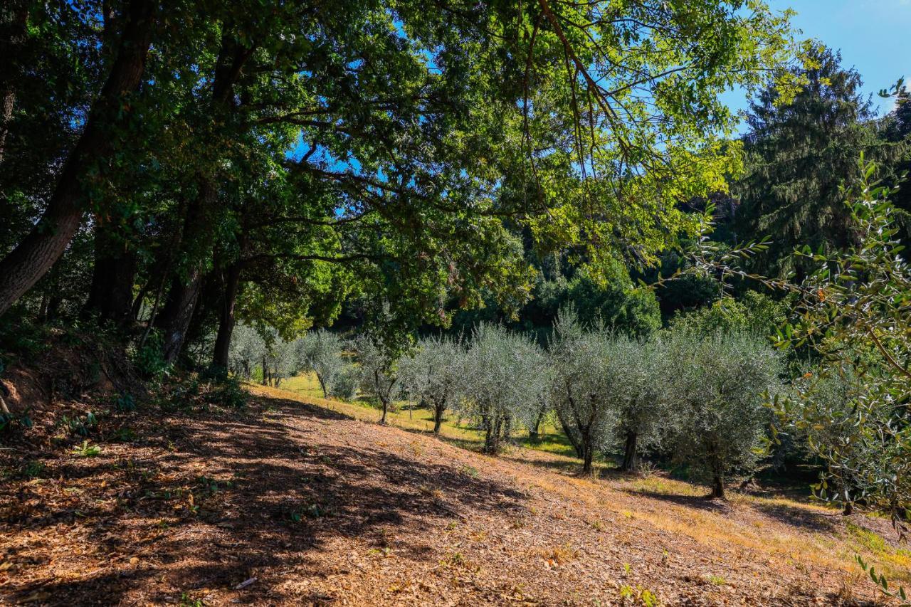 Agriturismo Terra Volonteri Montecatini-Terme Zewnętrze zdjęcie