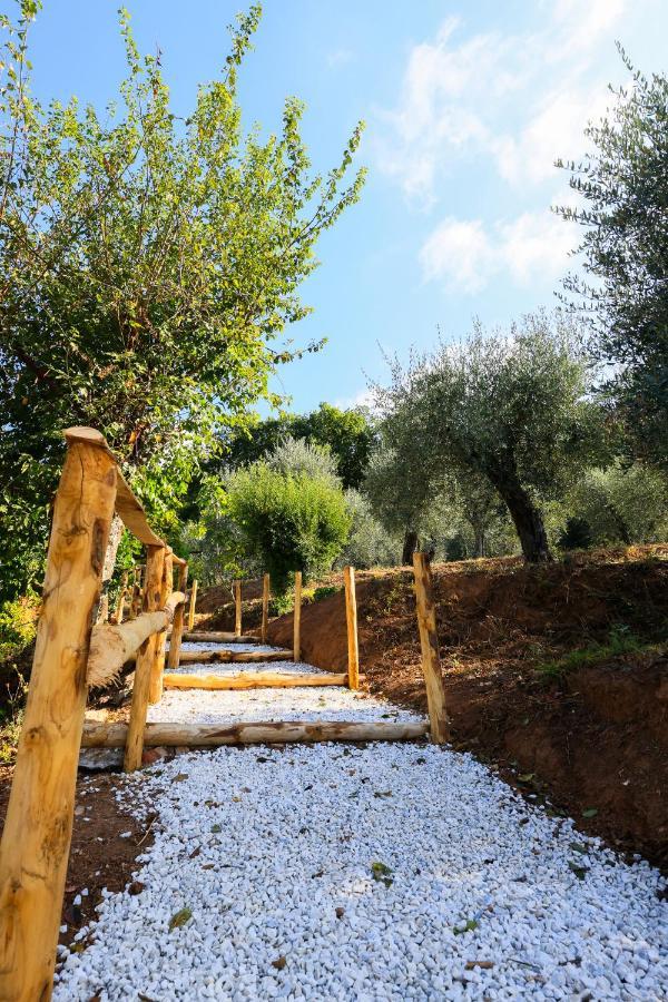 Agriturismo Terra Volonteri Montecatini-Terme Zewnętrze zdjęcie