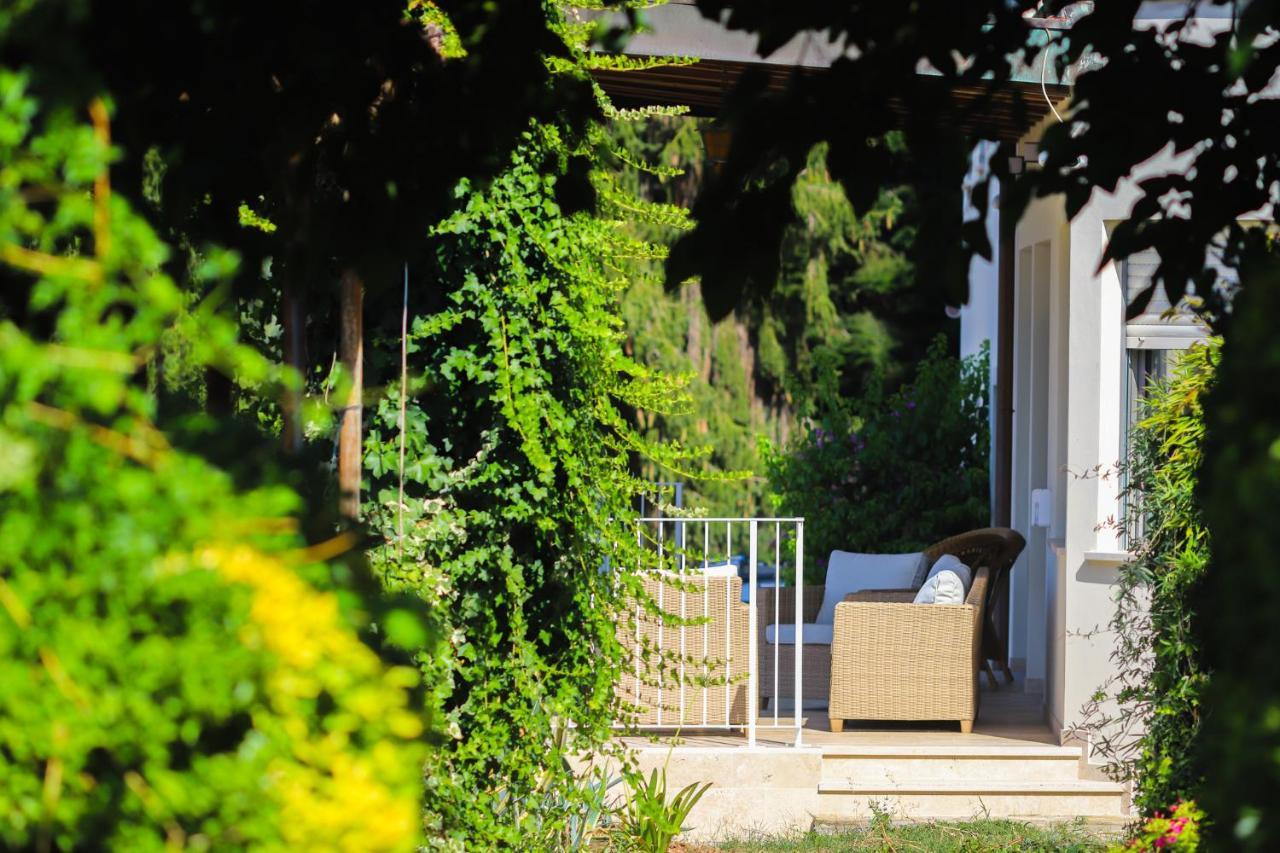 Agriturismo Terra Volonteri Montecatini-Terme Zewnętrze zdjęcie