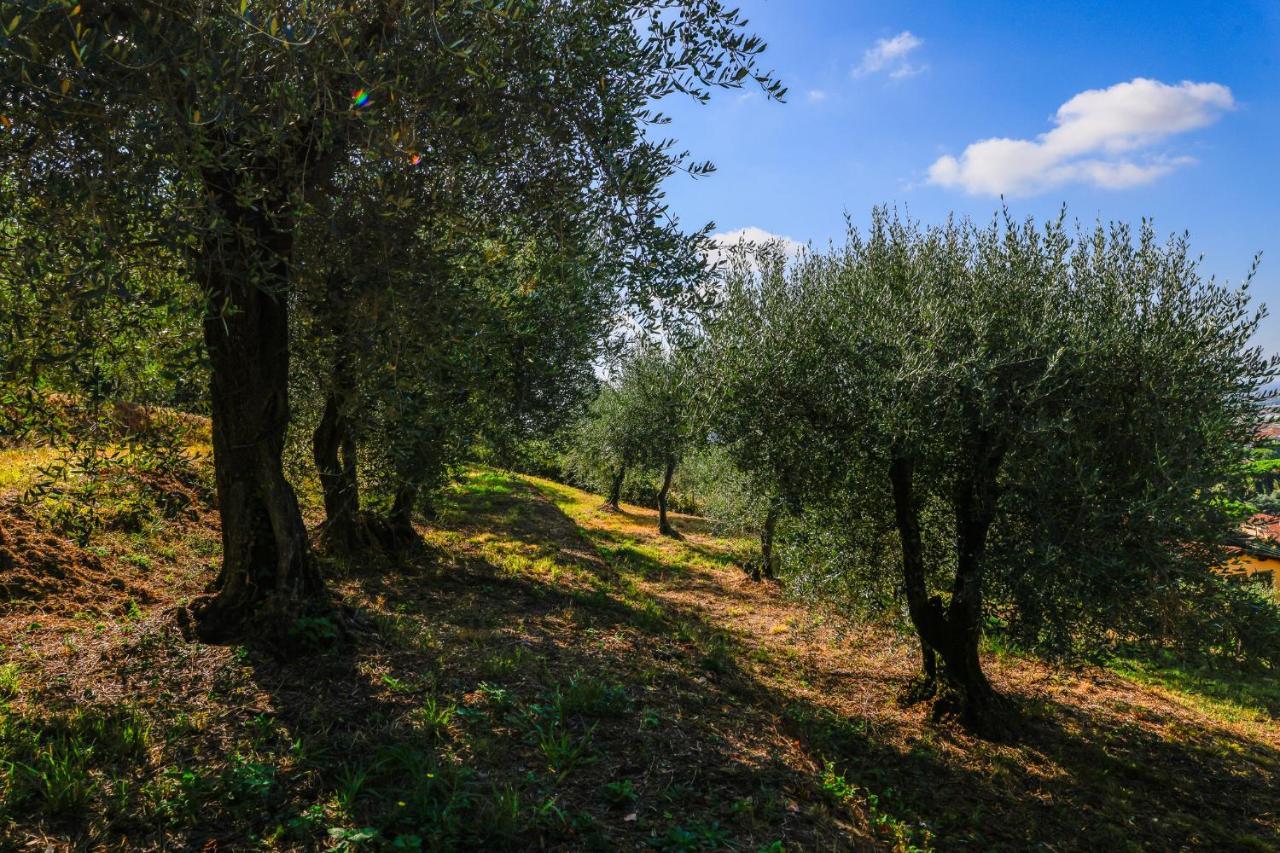 Agriturismo Terra Volonteri Montecatini-Terme Zewnętrze zdjęcie